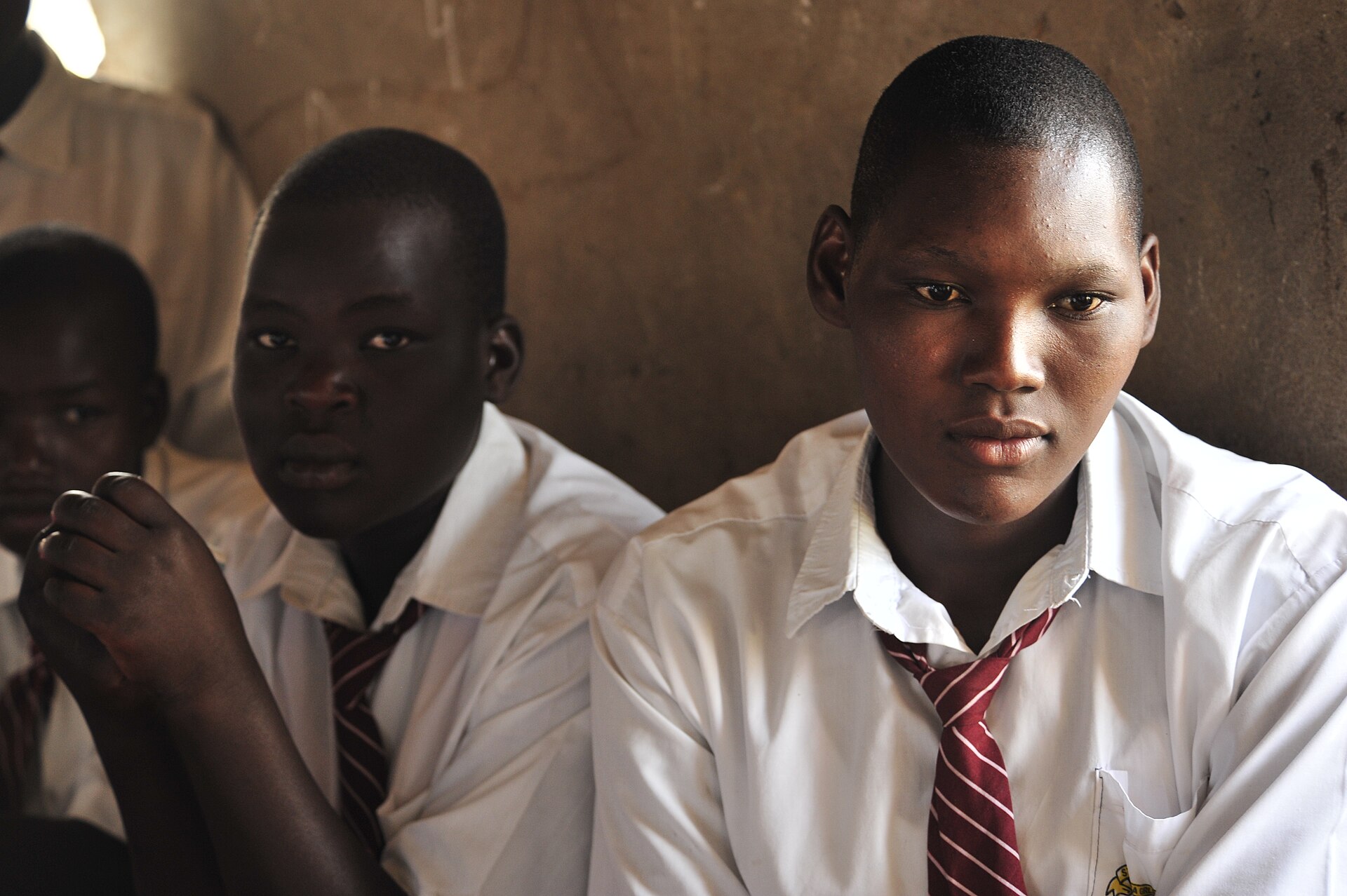 Young people studying together
